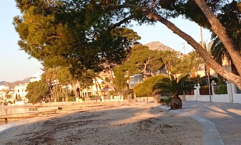 26 març paisatge del port de pollença foto de cati palou per a punt informatiu