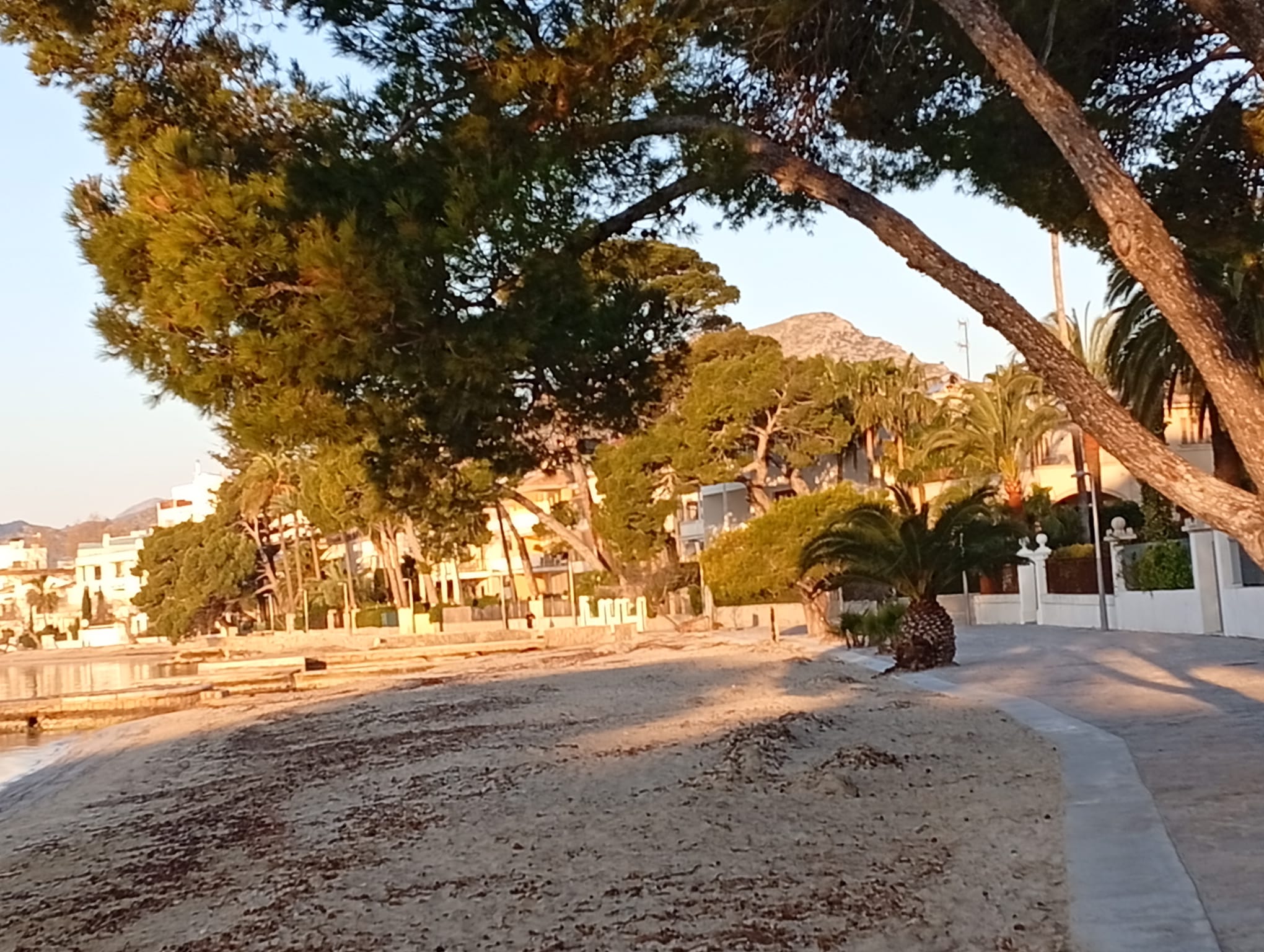 26 març paisatge del port de pollença foto de cati palou per a punt informatiu