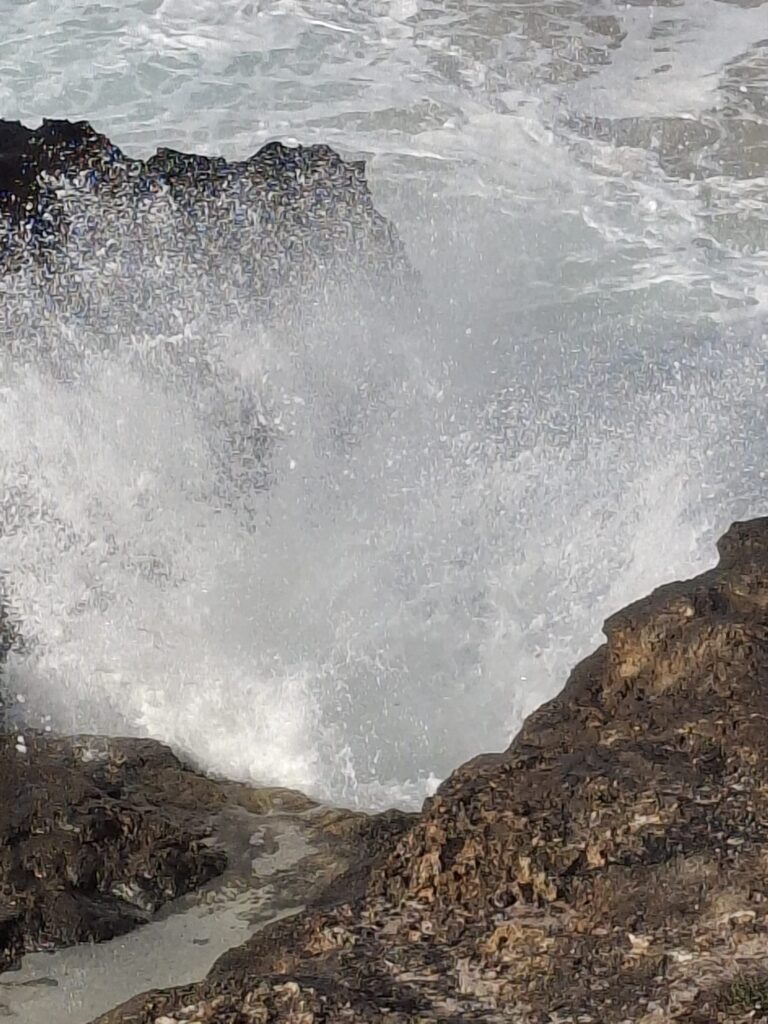Ona rompent contra les roques foto de Nicole Mahy per a Punt informatiu.