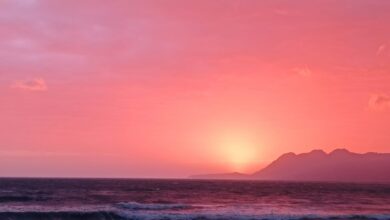 Paisatge del Port de Pollença foto de Joan Ramon Bosch Cerdà per a Punt informatiu