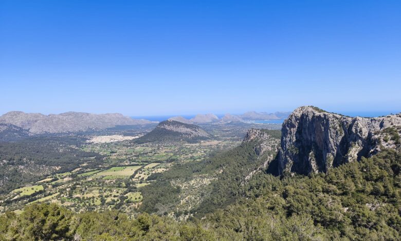 Trescant per la serra de la Penya Mascorda Foto de Pere J. Ferrer per a Punt informatiu.