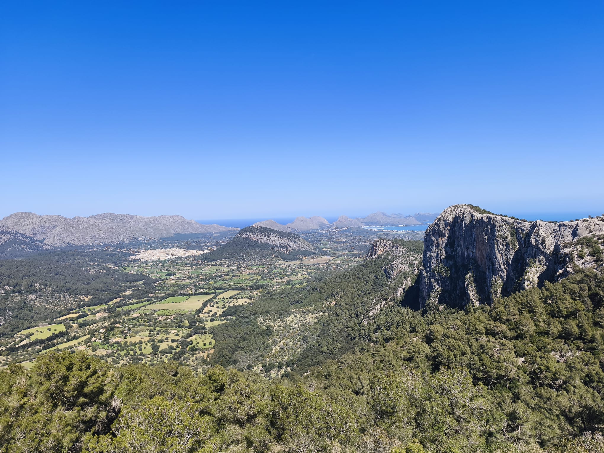 Trescant per la serra de la Penya Mascorda Foto de Pere J. Ferrer per a Punt informatiu.