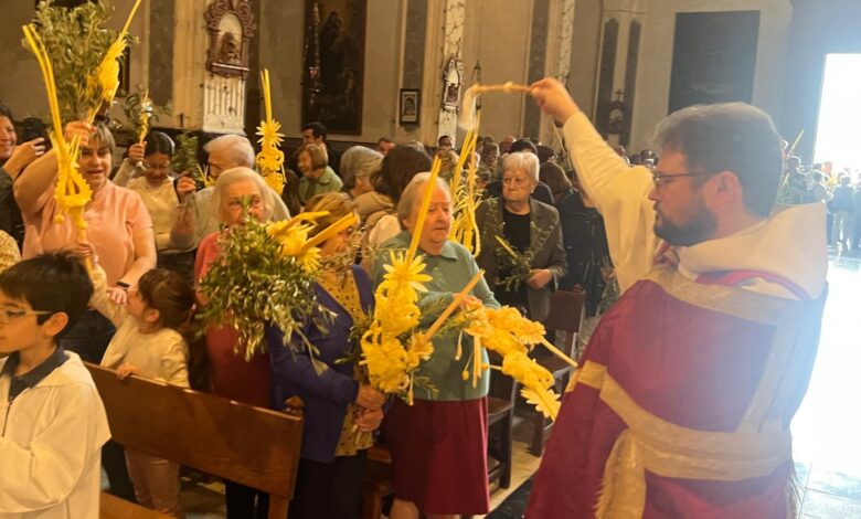 diumenge del ram monti-sion pollença 2025