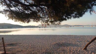 paisatge del port de pollença foto de joan ramon bosch cerdà per a punt informatiu