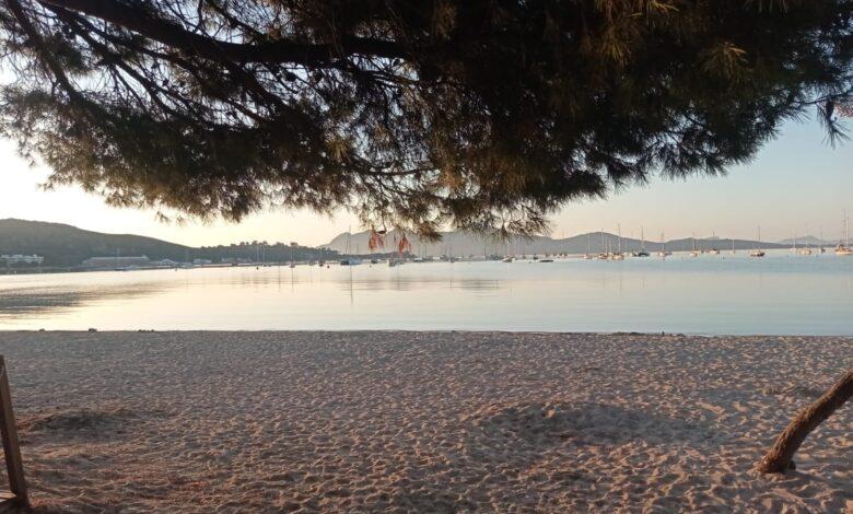 paisatge del port de pollença foto de joan ramon bosch cerdà per a punt informatiu