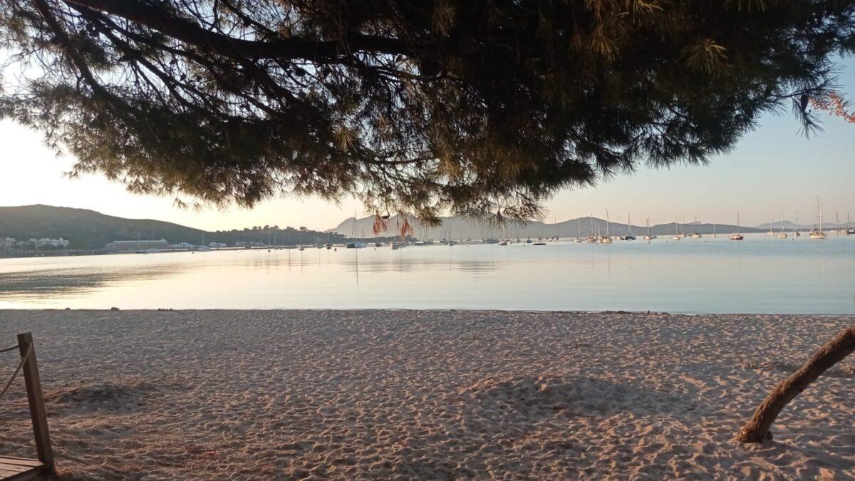 paisatge del port de pollença foto de joan ramon bosch cerdà per a punt informatiu