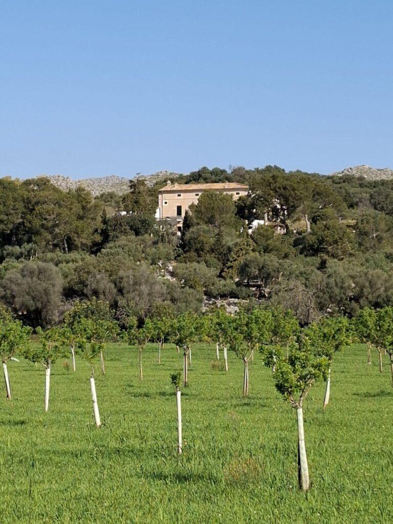 Cases de fora vila. Foto Andreu Salom per a Punt informatiu.