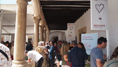 fira del vi foto de fernando perianes per a punt informatiu