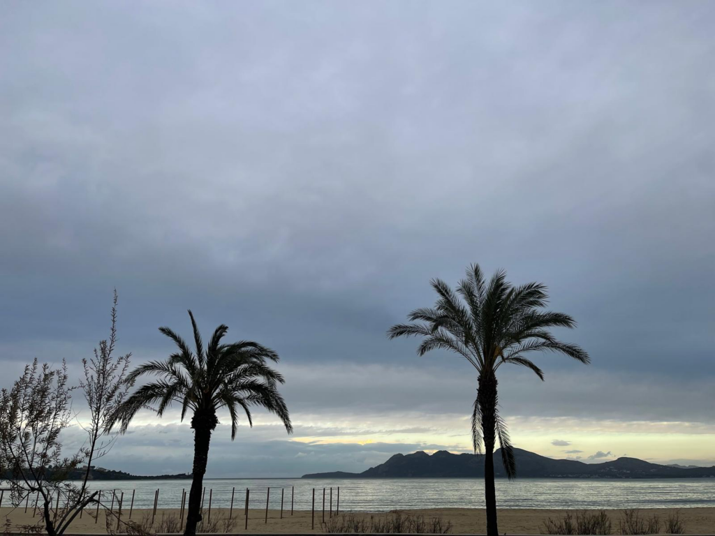 Paisatge del Port de POllença. Foto de Joana Palomés per a Punt Informatiu.