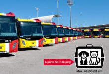 mascotes tib