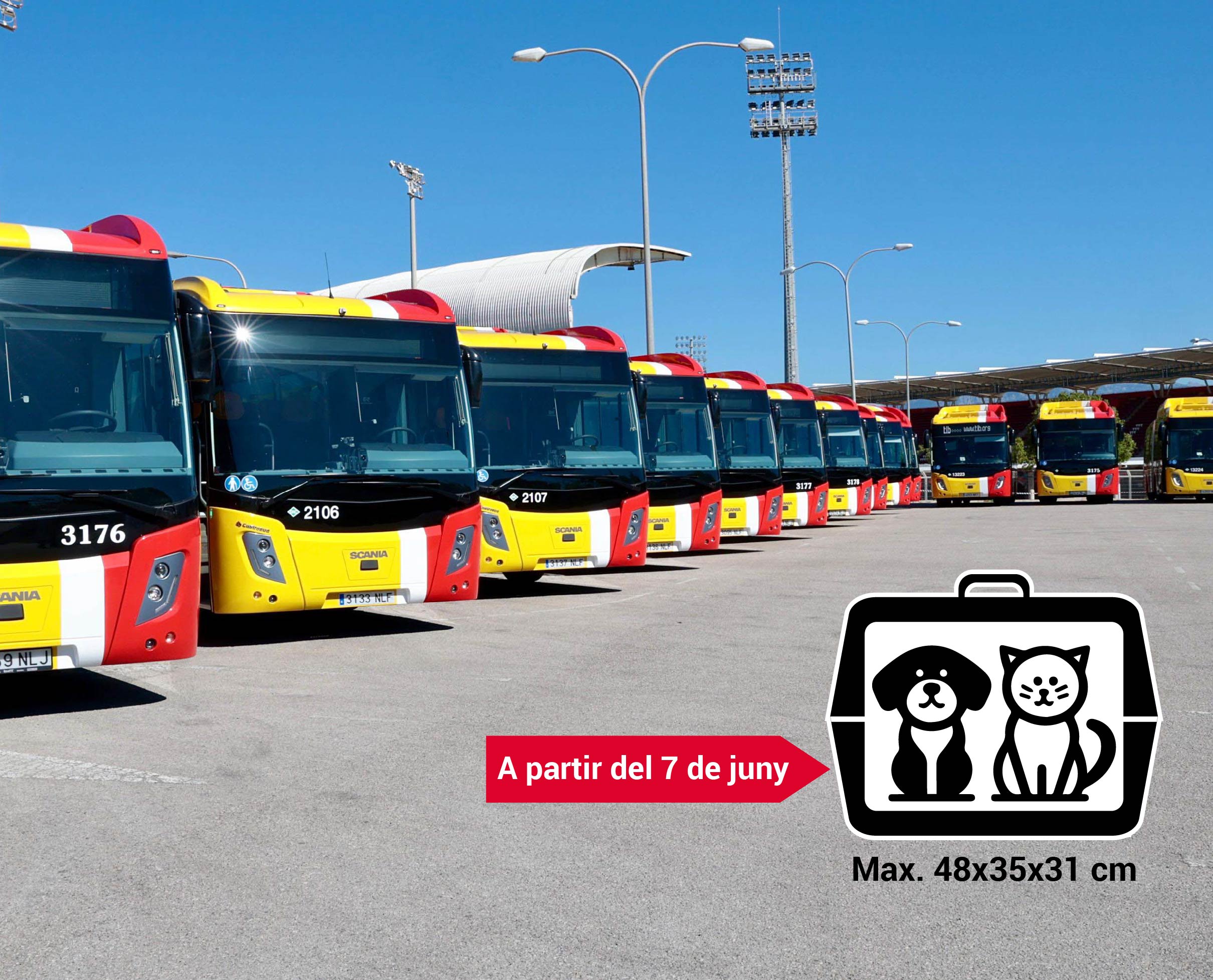 mascotes tib